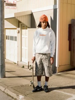 Smashed Logo Pullover Hood, Ash